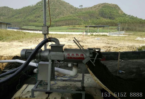 撸撸社在线观看