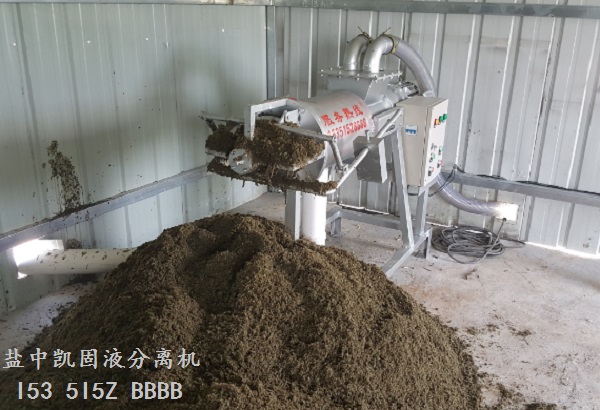 撸撸社在线观看