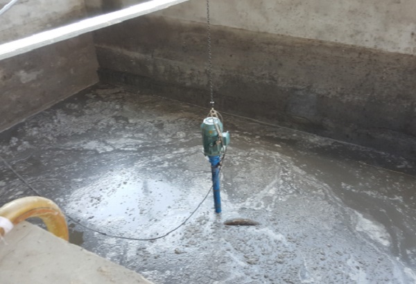 撸撸社官网下载